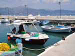 Eiland Kalamos bij Lefkas - Griekenland - foto 19