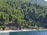 Eiland Kalamos bij Lefkas - Griekenland - foto 27