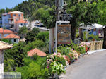 Overal bloemen in Athani - Lefkas (Lefkada)