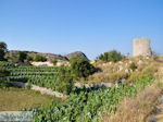 Op de hoogvlakte bij Englouvi foto 2 - Lefkas (Lefkada)