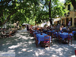 Het gezellige plein van Karia (Karya) foto 4 - Lefkas (Lefkada)
