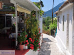 Poros Lefkados - Mikros Gialos foto 35 - Lefkas (Lefkada)
