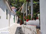 Poros Lefkados - Mikros Gialos foto 40 - Lefkas (Lefkada)